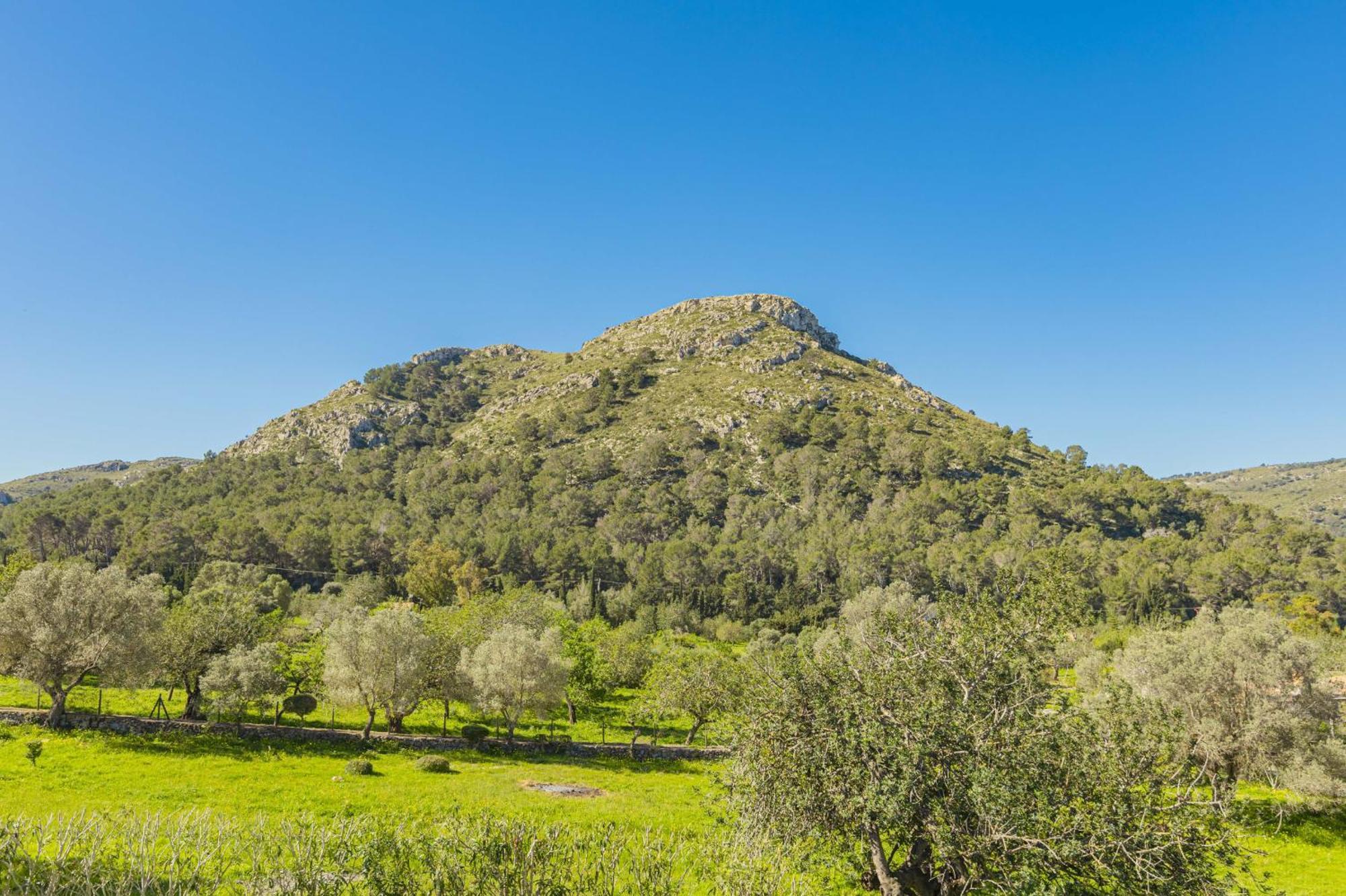 Es Garrover Villa Alcudia (Mallorca)